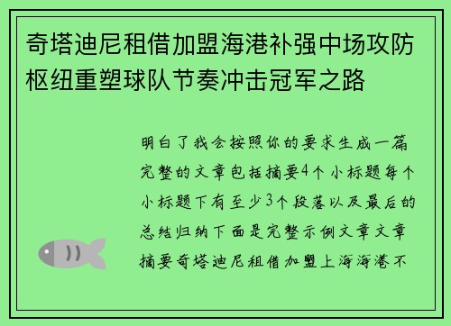 奇塔迪尼租借加盟海港补强中场攻防枢纽重塑球队节奏冲击冠军之路
